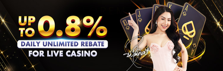 Casino 0.8% Unlimited Daily Rebate