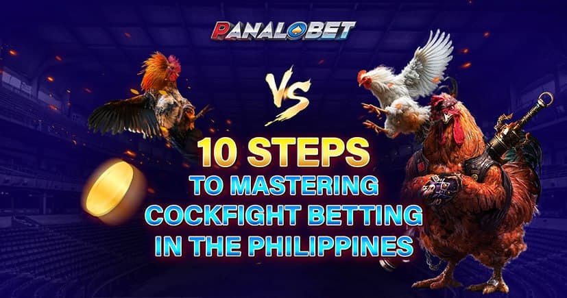10 Steps to Mastering Cockfight Betting in the Philippines