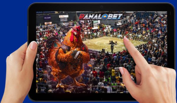 Live Streaming Sabong: Bringing the Arena to Your Screen