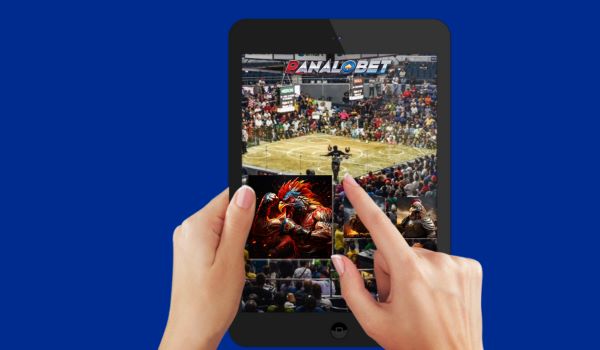 Live Streaming Sabong: Bringing the Arena to Your Screen